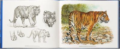 Ferocious and Fragile